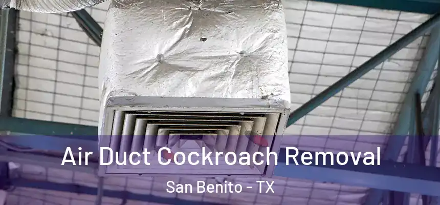  Air Duct Cockroach Removal San Benito - TX