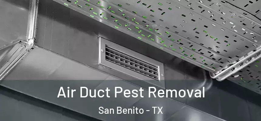  Air Duct Pest Removal San Benito - TX