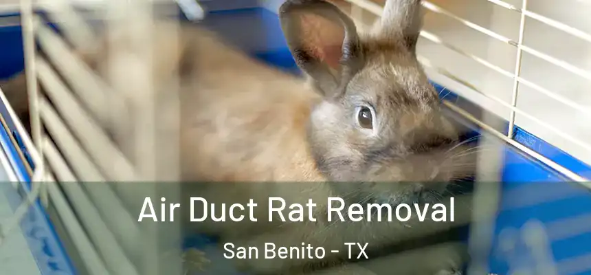 Air Duct Rat Removal San Benito - TX