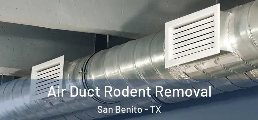  Air Duct Rodent Removal San Benito - TX