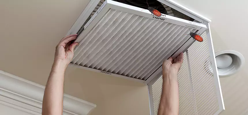Preventive Cockroach-Proofing for Ducts in San Benito