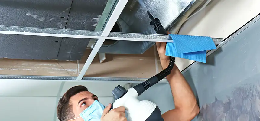 Our Air Duct Rodent Removal Services in San Benito, TX