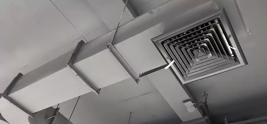 Restorative Allergy Relief Vent Cleaning – Coil, Blower & Housing Detail in San Benito