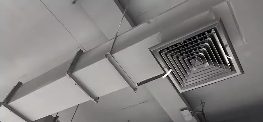 Our Rodent Droppings In Vents Services in San Benito, TX