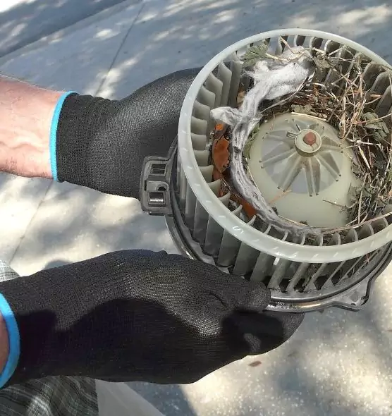 About Air Duct Mice Removal in San Benito, TX