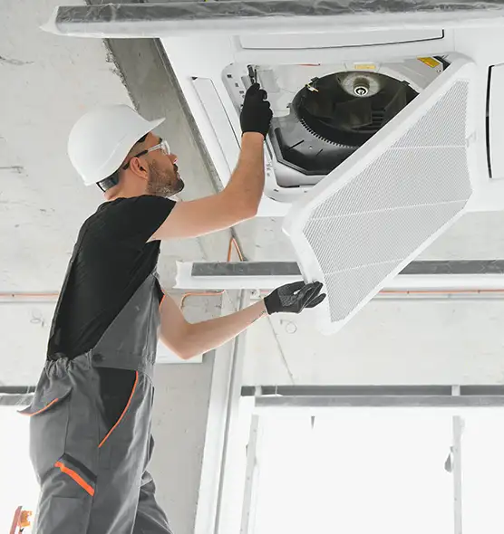 About Air Duct Rodent Removal in San Benito, TX