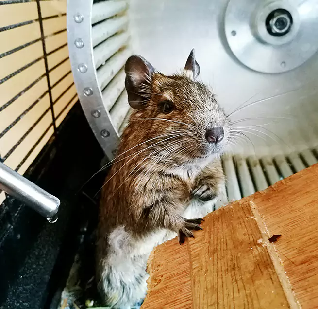 Why Homeowners & Businesses Trust Us San Benito, TX?